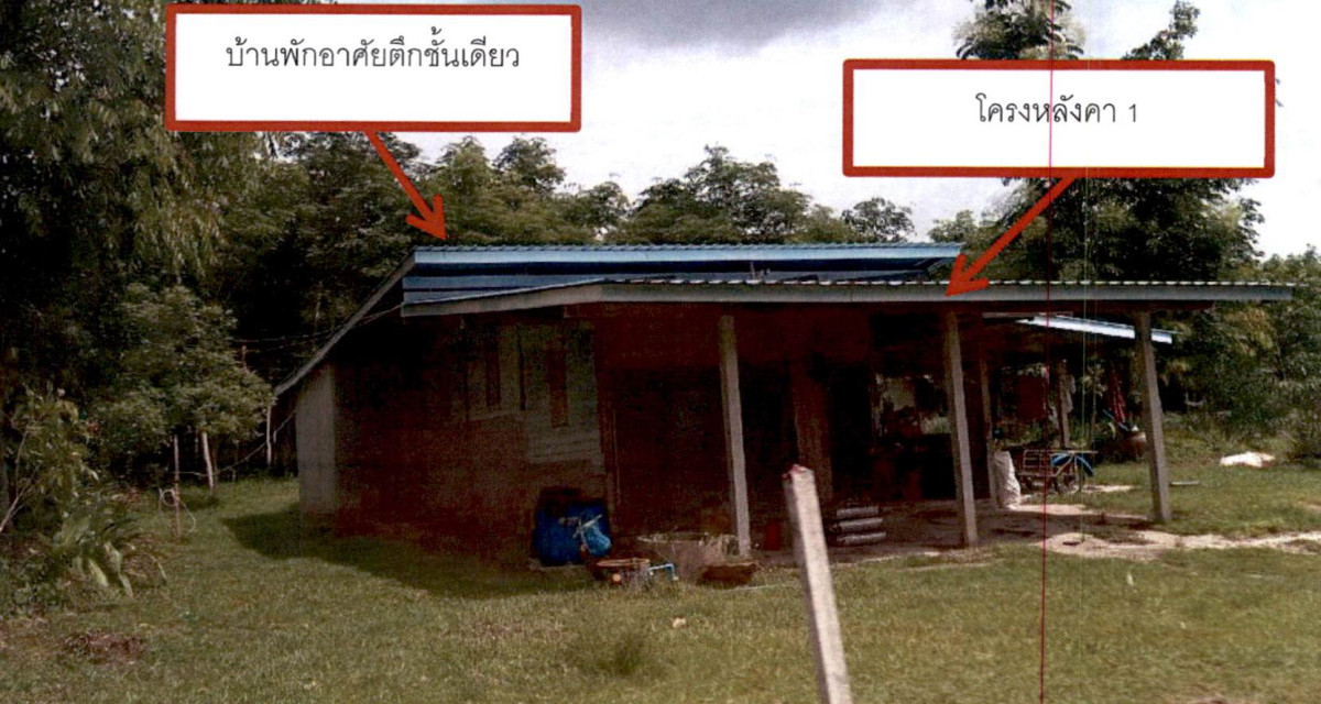 บ้านเดี่ยว สุราษฎร์ธานี บ้านตาขุน พรุไทย 3088715