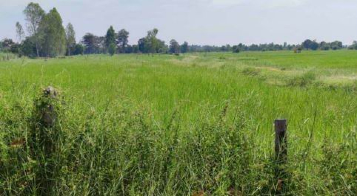 Residential land/lot Maha Sarakham Yang Sisurat Kham Rian 236400