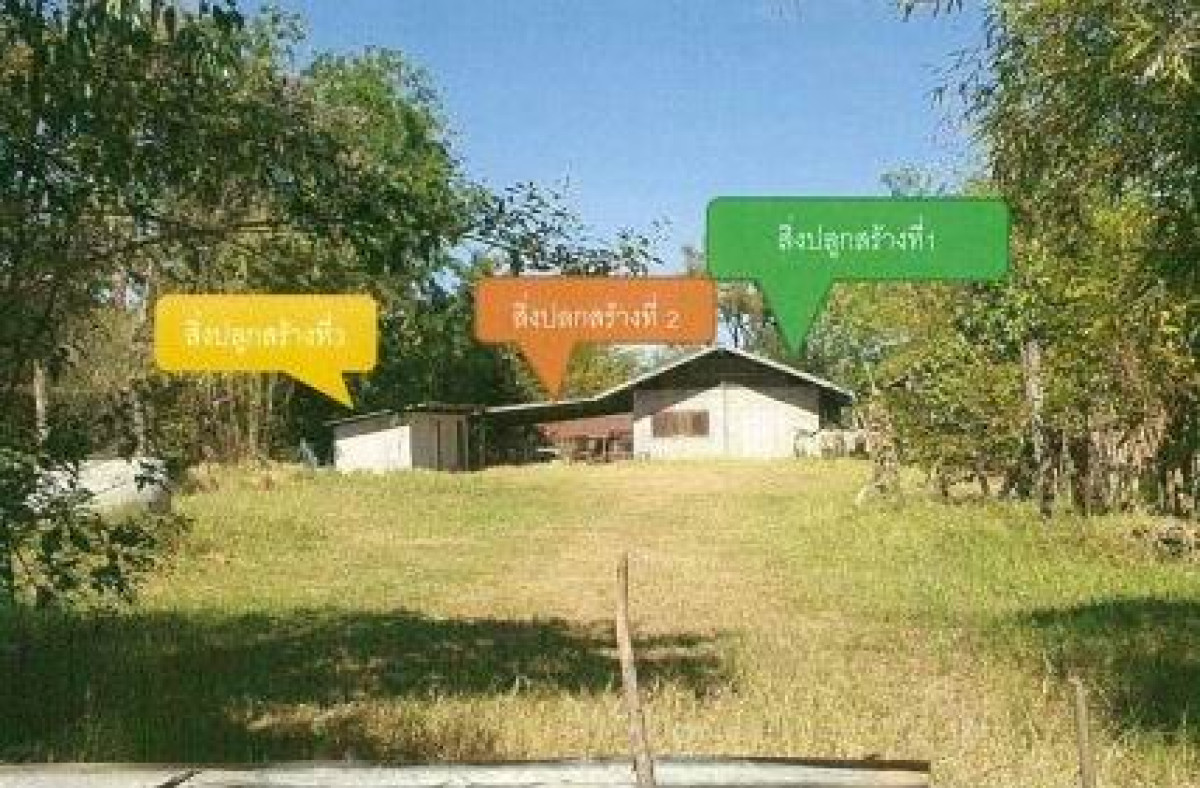 บ้านเดี่ยว มหาสารคาม ชื่นชม เหล่าดอกไม้ 683610