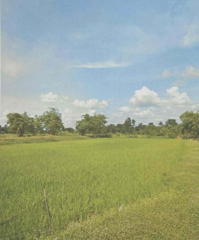 ที่ดินเปล่า มหาสารคาม บรบือ หนองจิก 2522800