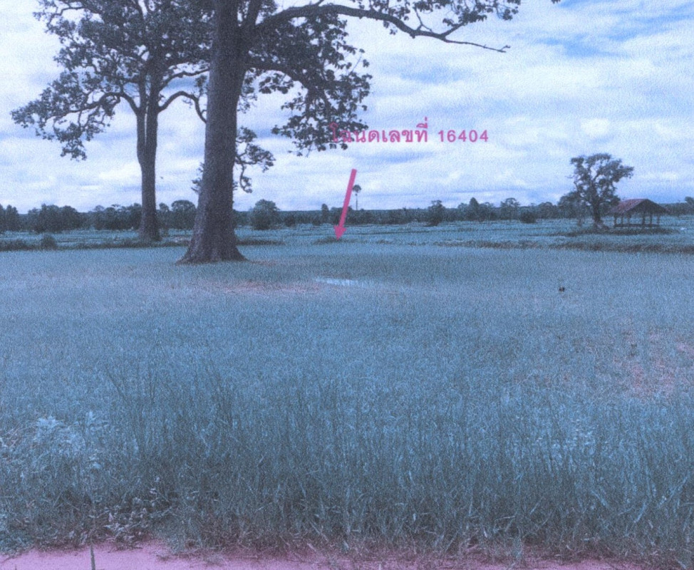 ที่ดินเปล่า ศรีสะเกษ ขุนหาญ พราน 58900