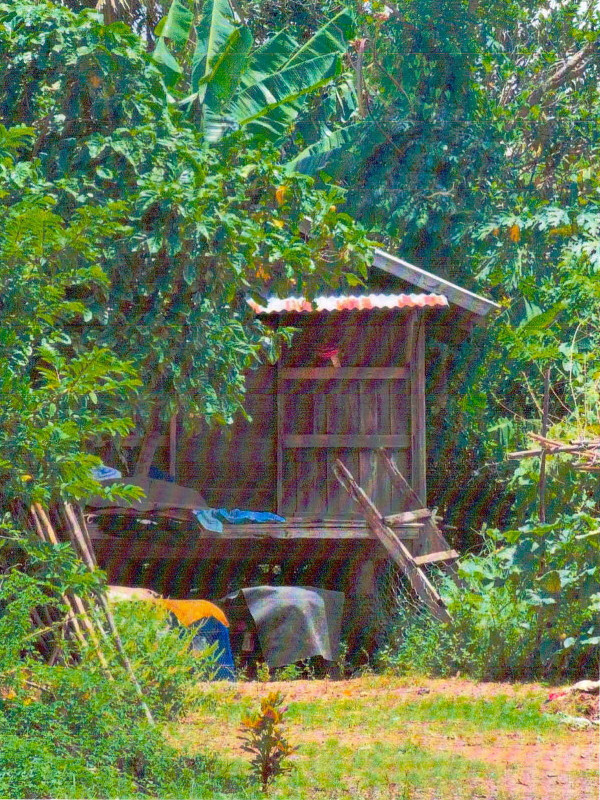 บ้านเดี่ยว ชัยภูมิ เนินสง่า กะฮาด 1487775