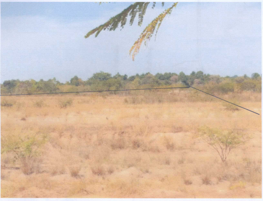 ที่ดินเปล่า อุบลราชธานี สว่างวีระวงศ์ ท่าช้าง 442500