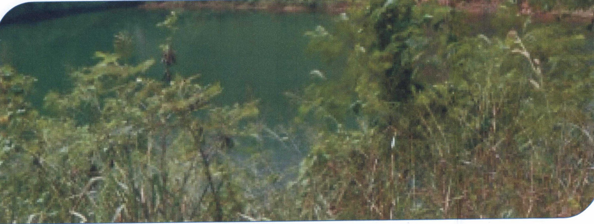 Residential land/lot Surat Thani Kanchanadit Kadae 170000