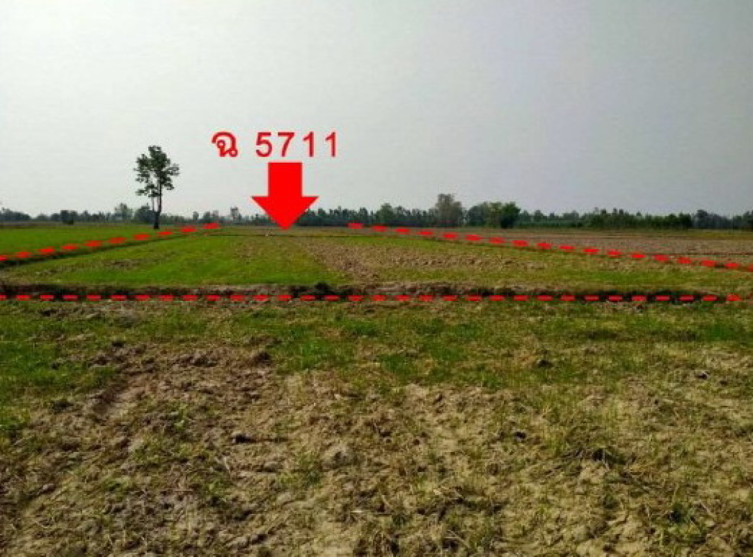 ที่ดินเปล่า กำแพงเพชร ขาณุวรลักษบุรี โค้งไผ่ 397692