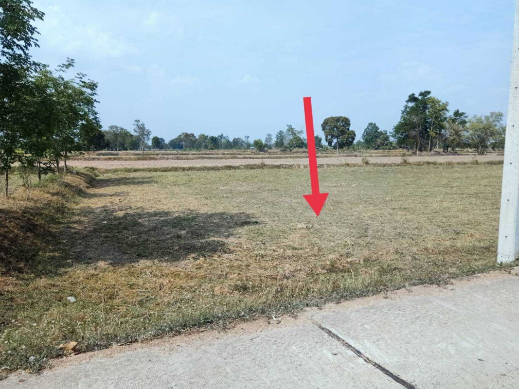 ที่ดินเปล่า ศรีสะเกษ ไพรบึง สำโรงพลัน 532400