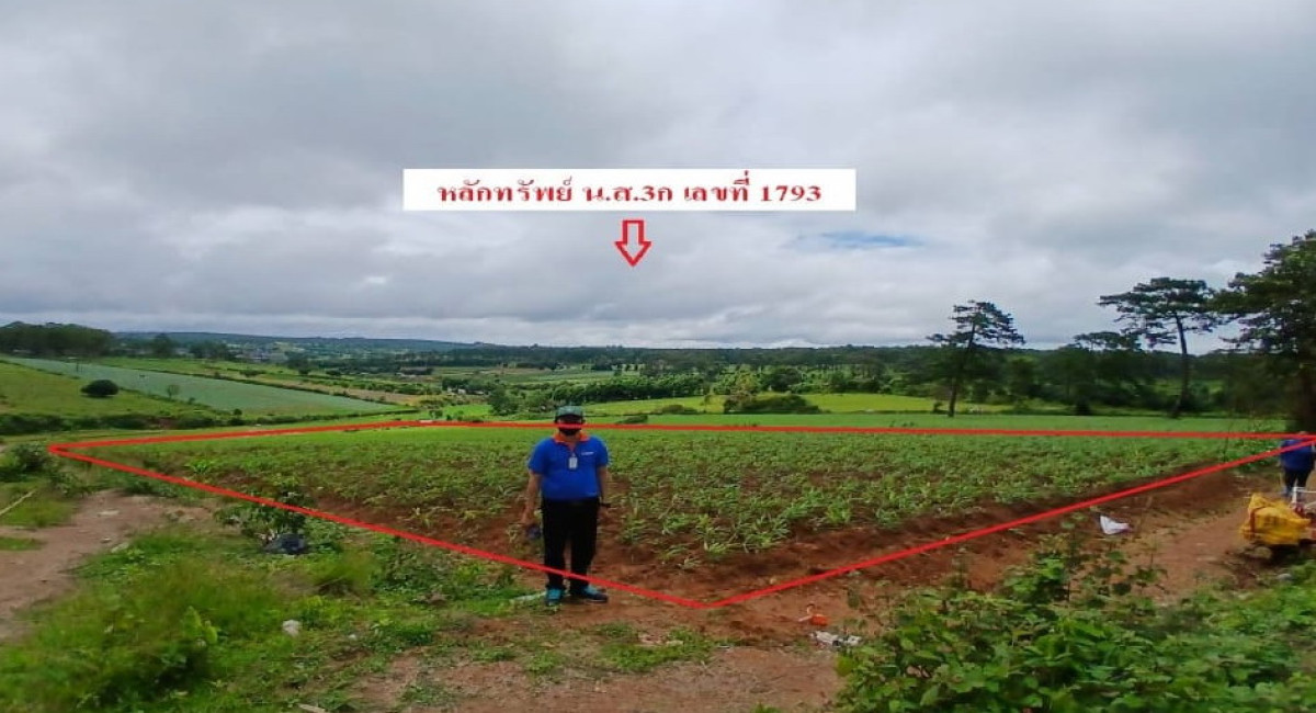 ที่ดินเปล่า เชียงใหม่ ฮอด บ่อหลวง 136950
