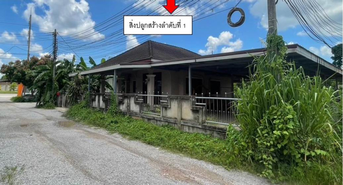 บ้านเดี่ยว สุราษฎร์ธานี เมืองสุราษฎร์ธานี บางกุ้ง 3231272
