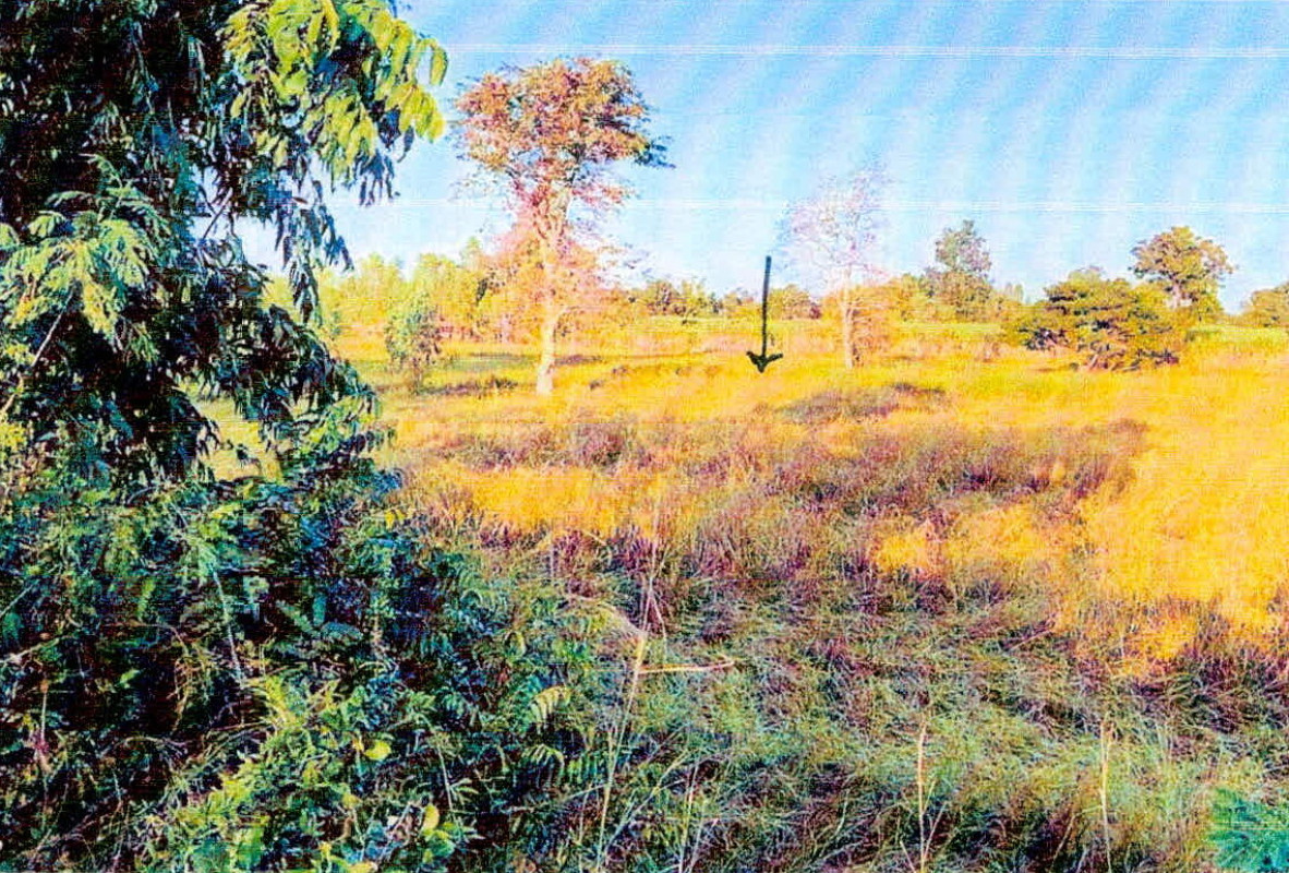 ที่ดินเปล่า ชัยภูมิ เมืองชัยภูมิ ลาดใหญ่ 236425