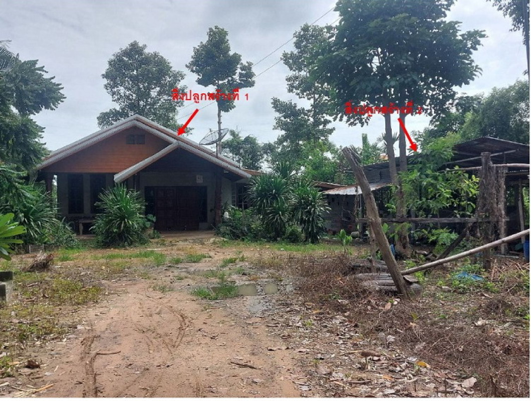บ้านเดี่ยว ศรีสะเกษ ขุนหาญ พราน 1582868