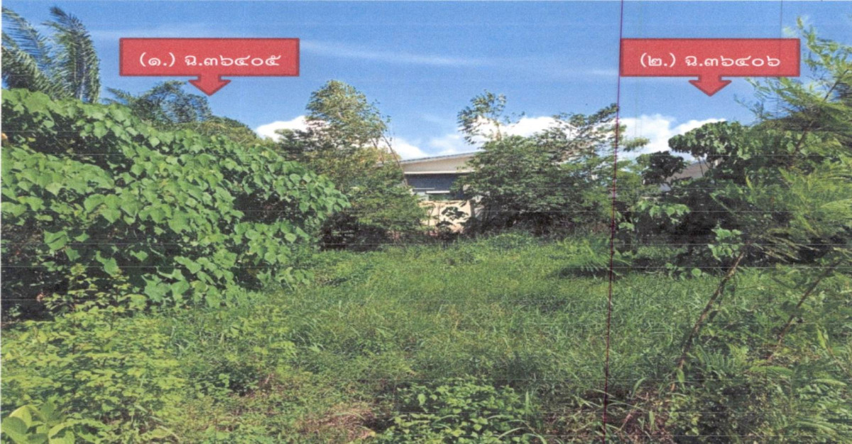 ที่ดินเปล่า สุราษฎร์ธานี เมืองสุราษฎร์ธานี มะขามเตี้ย 1188200
