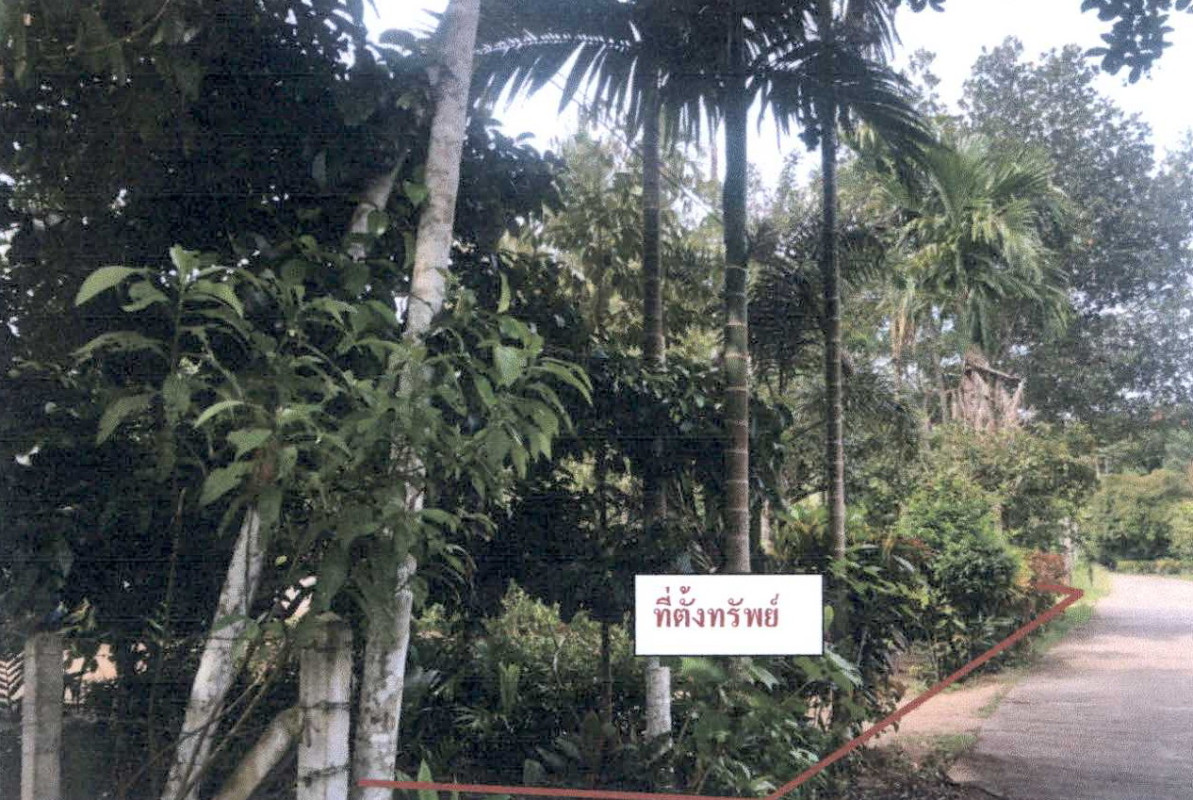 บ้านเดี่ยว นครศรีธรรมราช ฉวาง ละอาย 526800