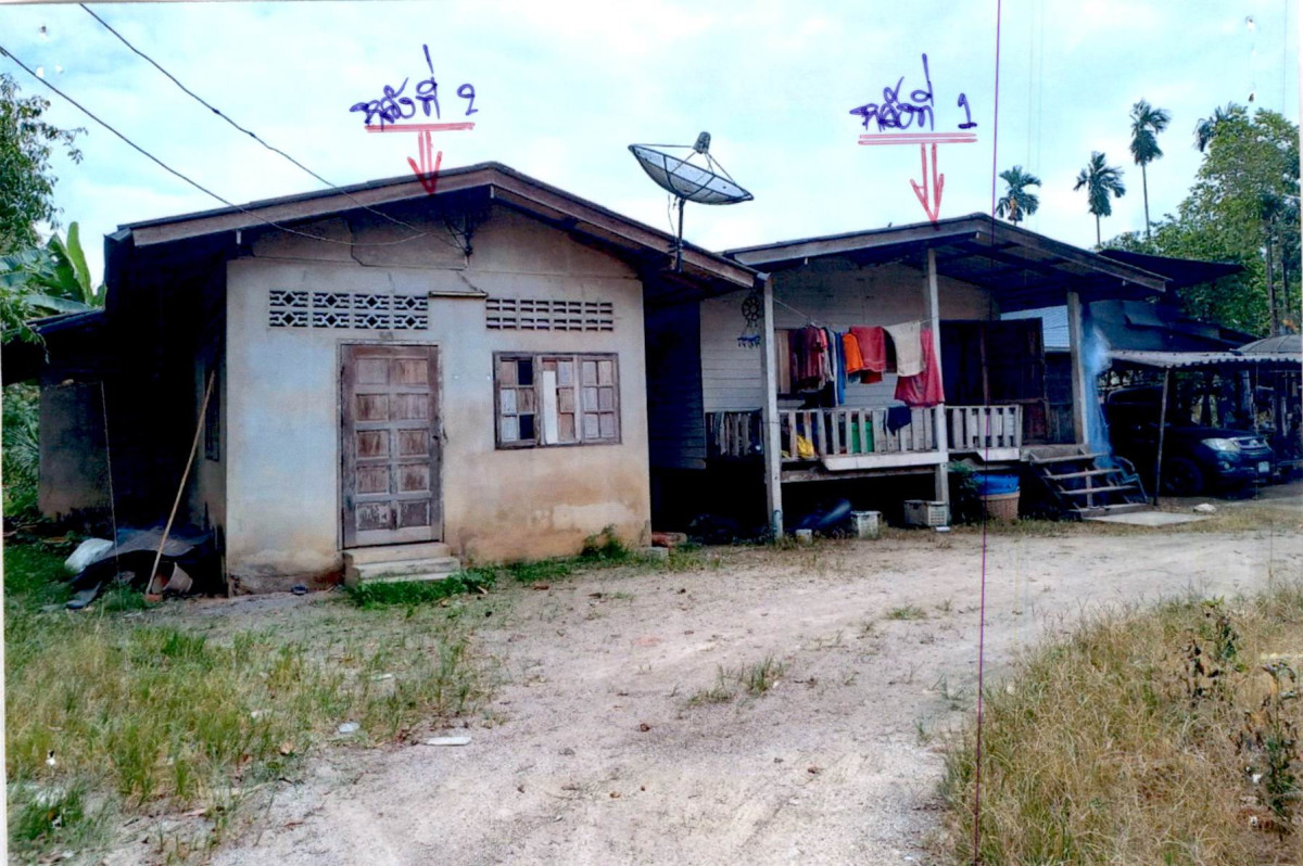 บ้านเดี่ยว สุราษฎร์ธานี พนม พังกาญจน์ 456560