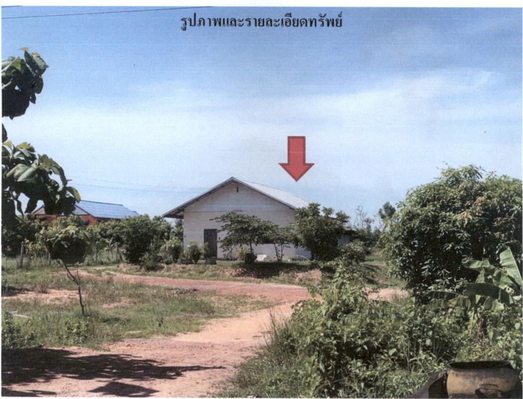 บ้านเดี่ยว กาฬสินธุ์ สหัสขันธ์ โนนบุรี 784240