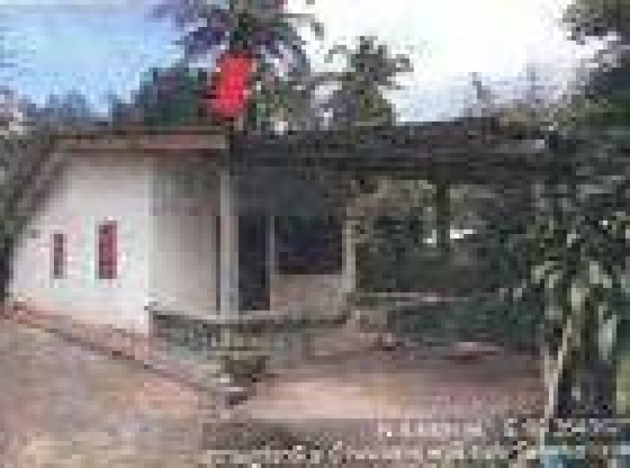 บ้านเดี่ยว สุราษฎร์ธานี บ้านนาสาร พรุพี 890000