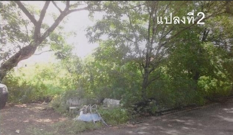 บ้านเดี่ยว ศิรินคร กรุงเทพมหานคร สายไหม สายไหม 75165000