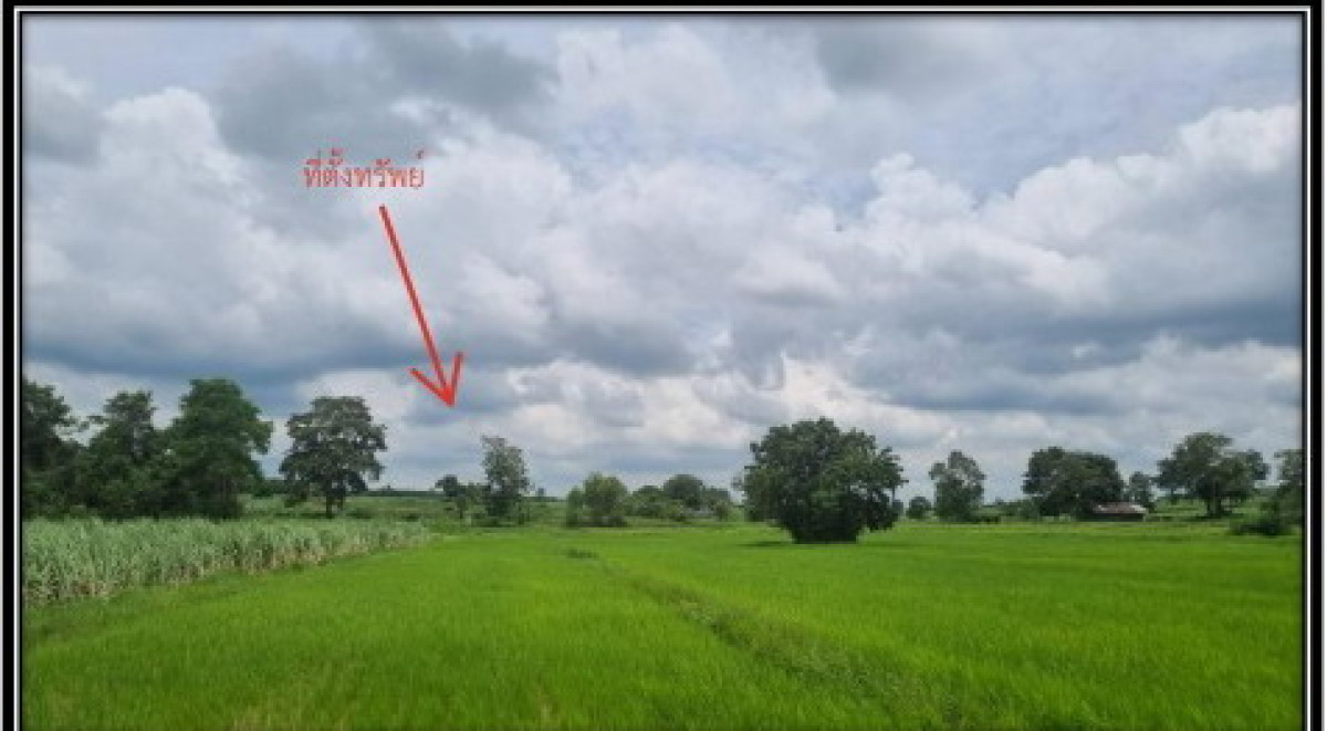 ที่ดินเปล่า กาฬสินธุ์ นามน หนองบัว 831400