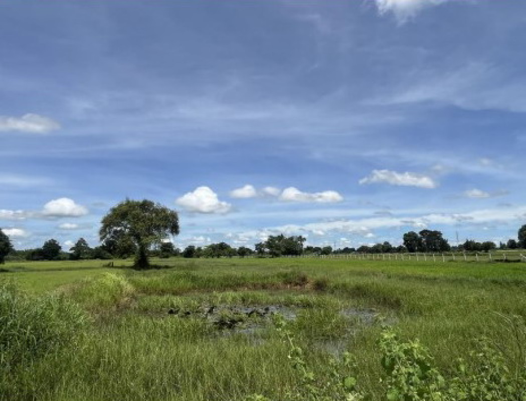 ที่ดินเปล่า มหาสารคาม เมืองมหาสารคาม เขวา 650000