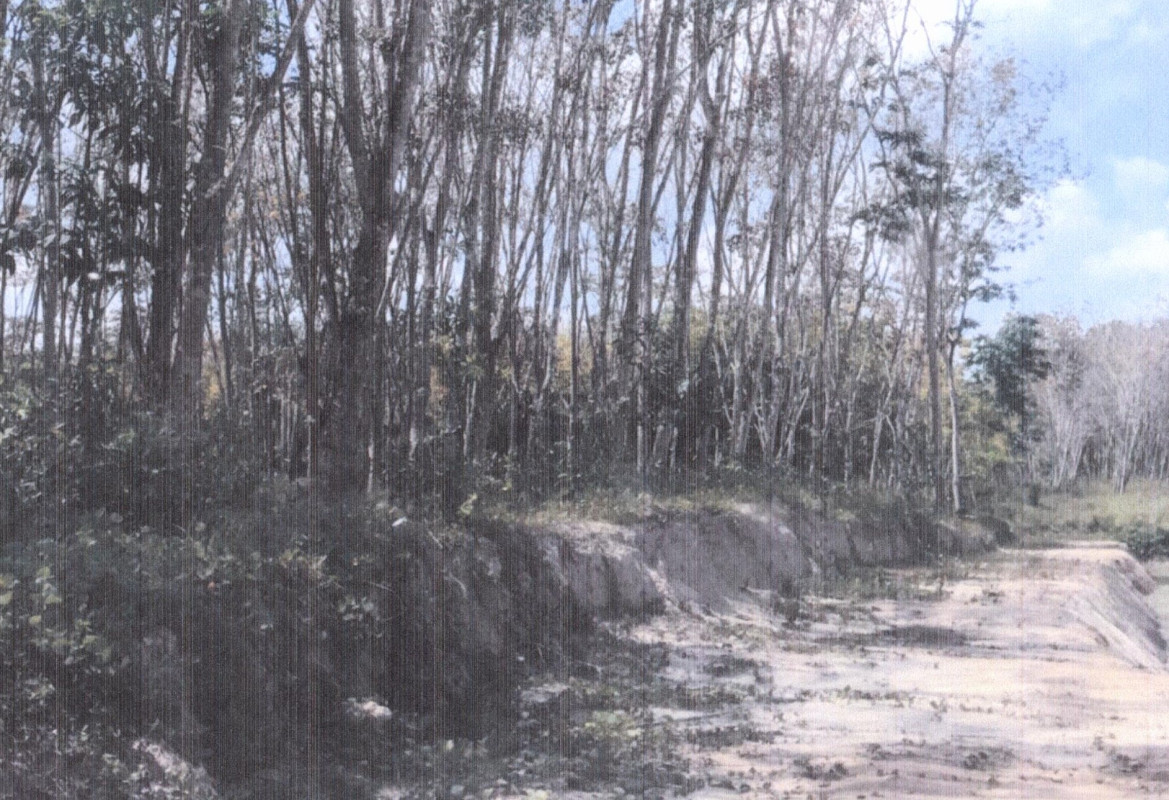 Residential land/lot Phatthalung Pa Bon Khok Sai 180675