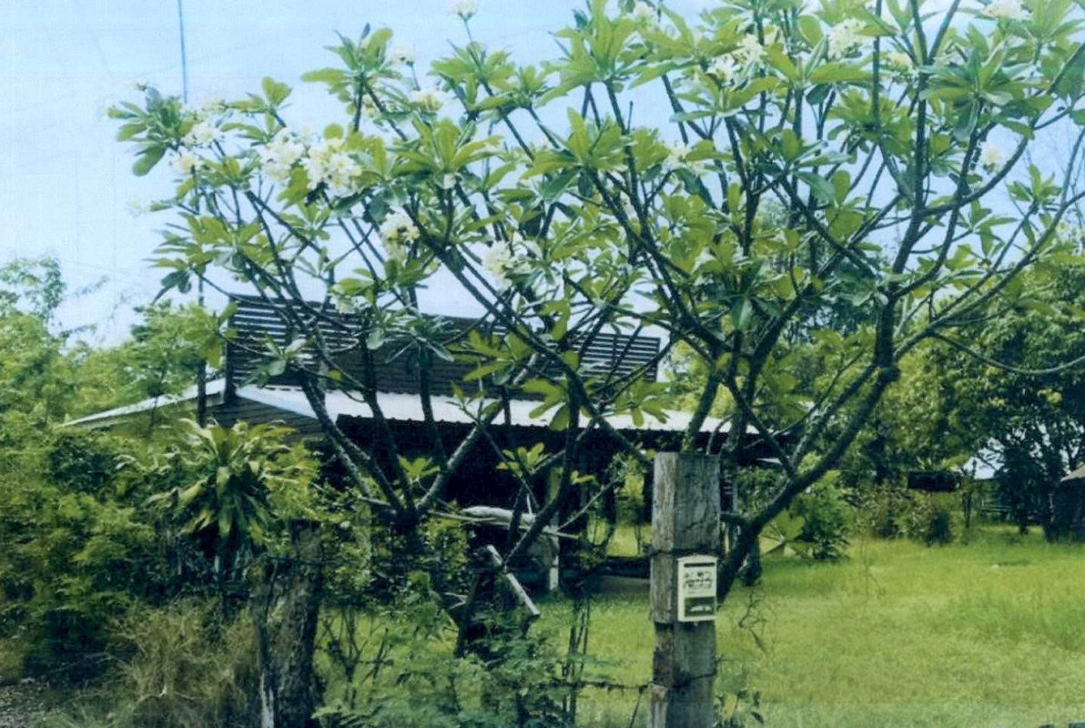 บ้านเดี่ยว กาฬสินธุ์ เมืองกาฬสินธุ์ หลุบ 485280