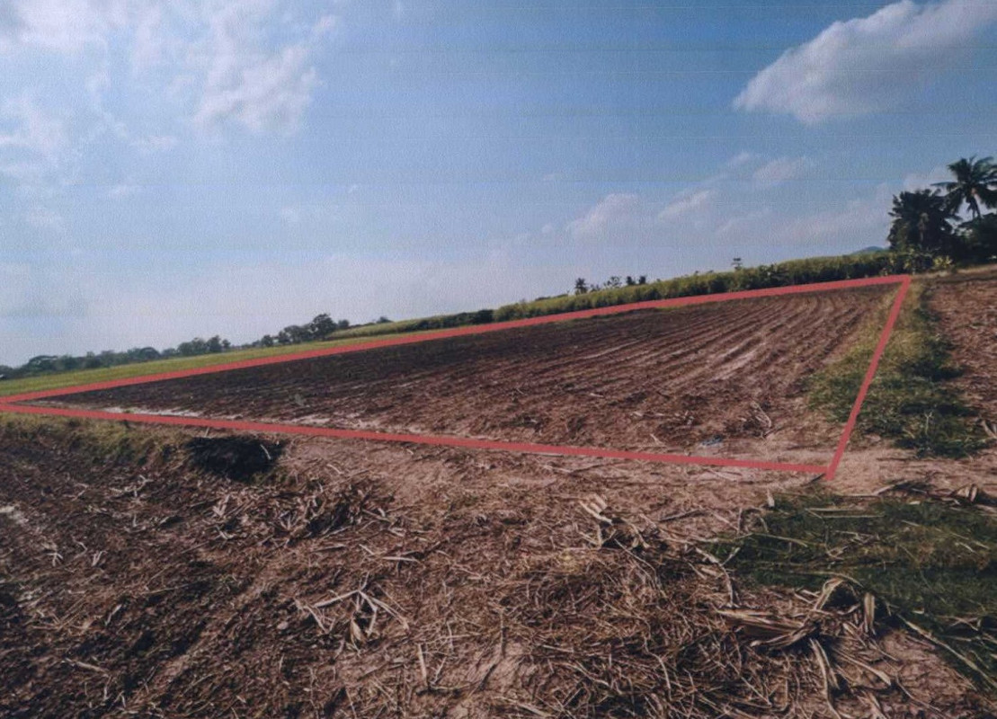 Residential land/lot Sukhothai Sawankhalok Pa Kum Ko 328000