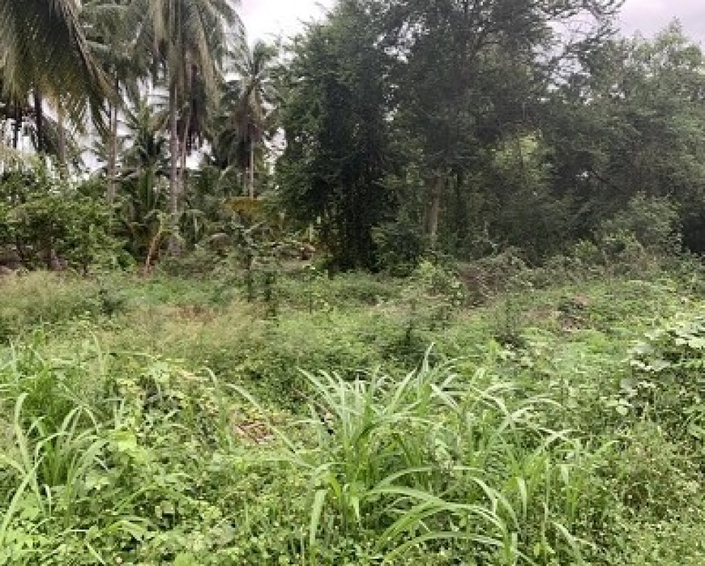 Residential land/lot Ratchaburi Wat Phleng Chom Prathat 120000