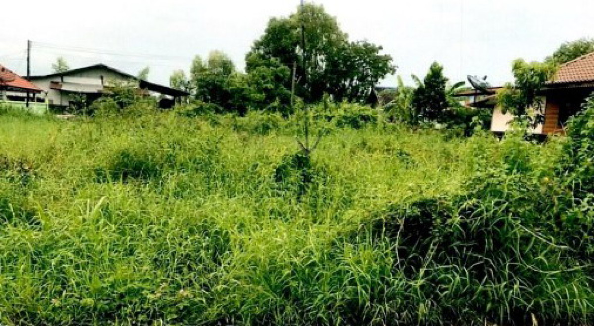 ที่ดินเปล่า อุดรธานี กุมภวาปี พันดอน 35100