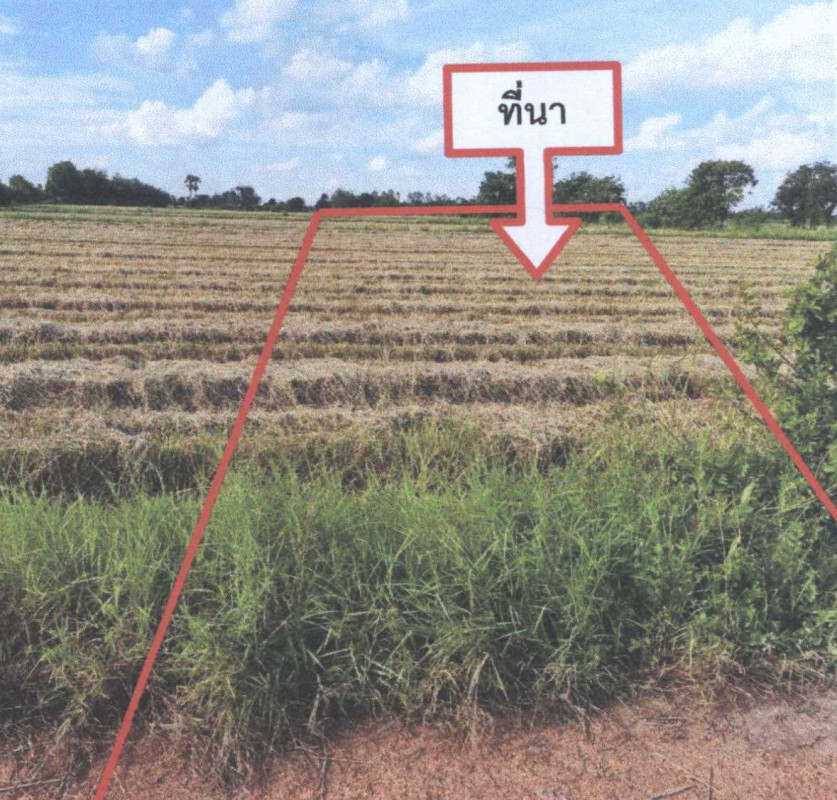 ที่ดินเปล่า นครสวรรค์ บรรพตพิสัย ด่านช้าง 633984
