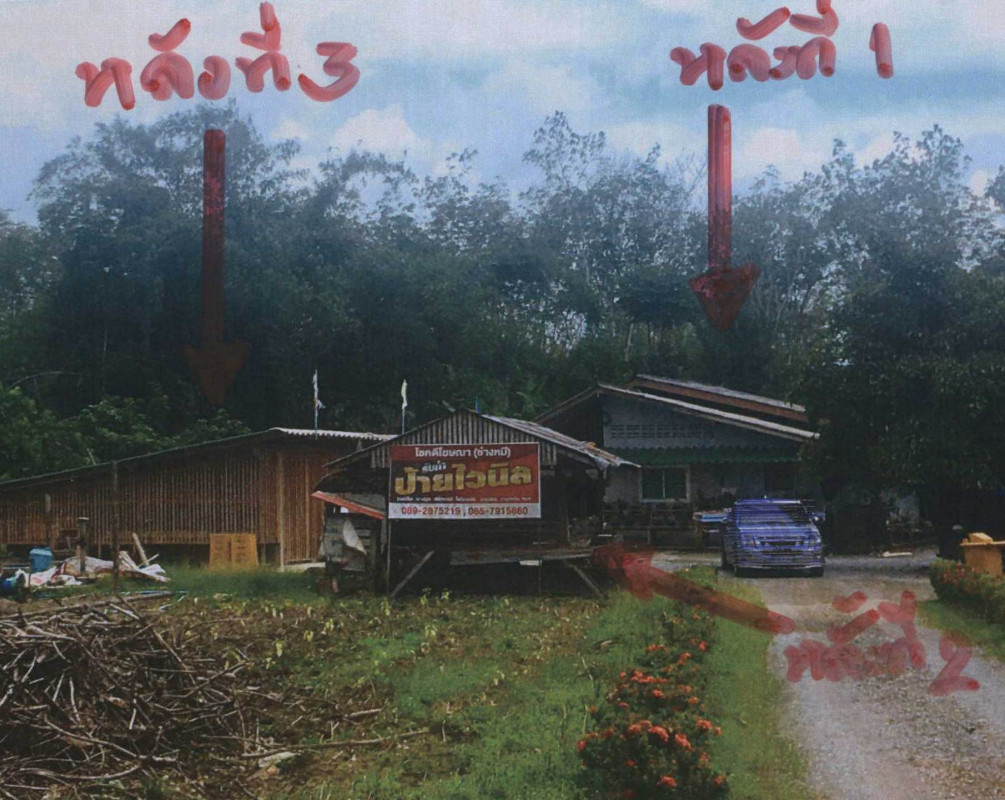 บ้านเดี่ยว นครศรีธรรมราช ทุ่งสง นาโพธิ์ 1498416