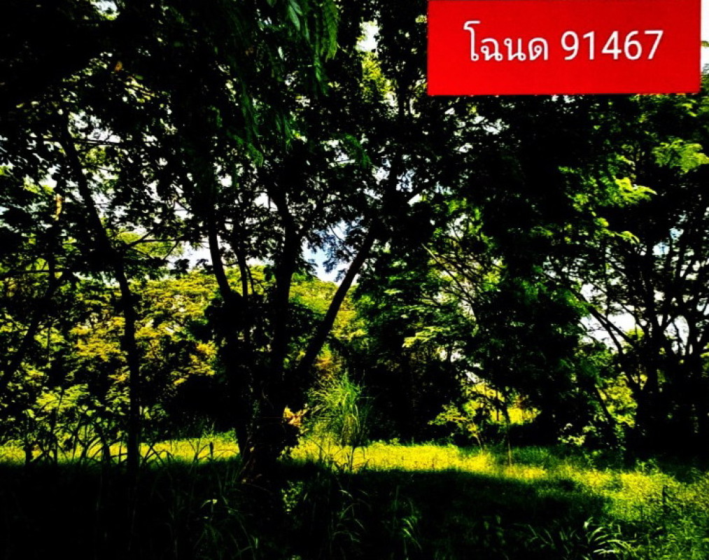 ที่ดินเปล่า อุดรธานี เมืองอุดรธานี บ้านจั่น 300000