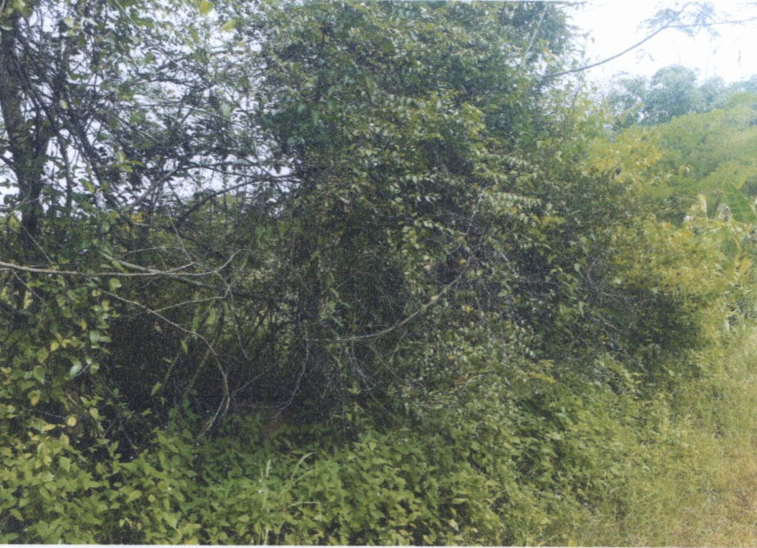 Residential land/lot Udon Thani Mueang Udon Thani Ban Chan 210000