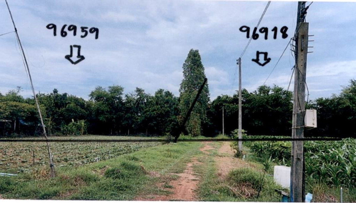 ที่ดินเปล่า นครปฐม เมืองนครปฐม บ้านยาง 4345120