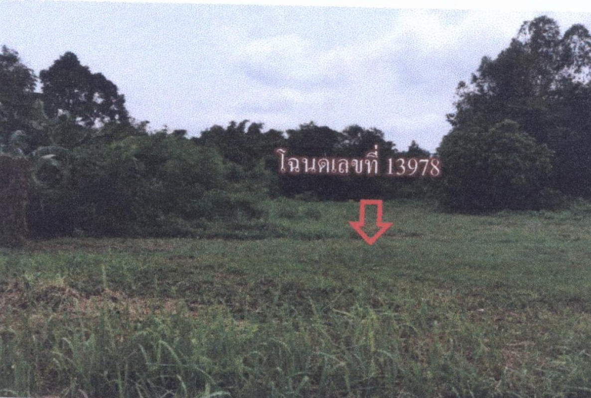 ที่ดินเปล่า อุดรธานี ประจักษ์ศิลปาคม นาม่วง 522000