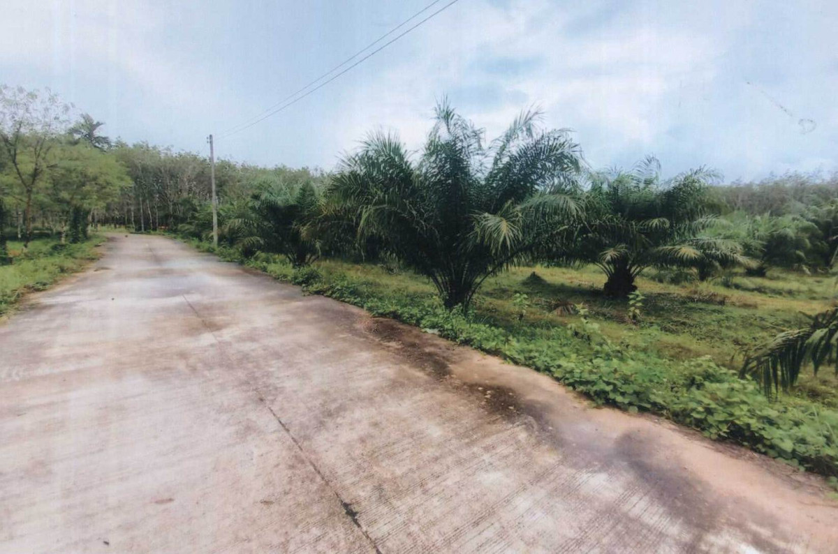 Residential land/lot Nakhon Si Thammarat Na Bon Thung Song 971850