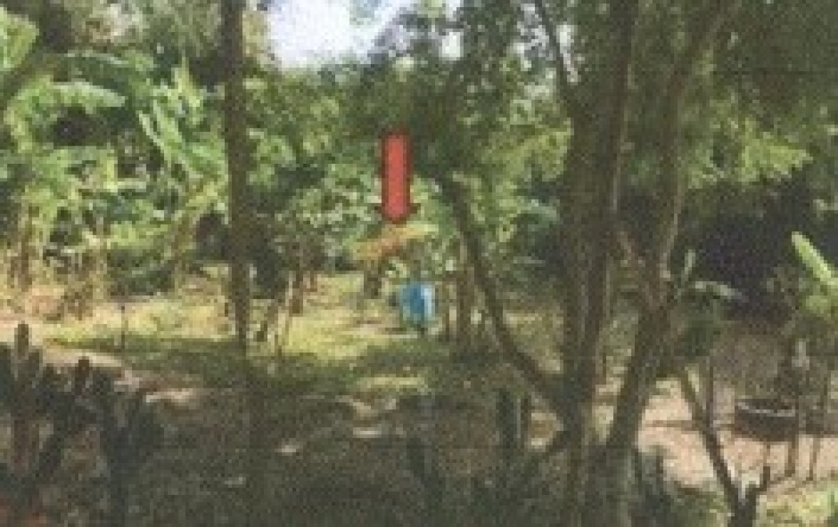 ที่ดินเปล่า ขอนแก่น แวงน้อย ละหานนา 52440