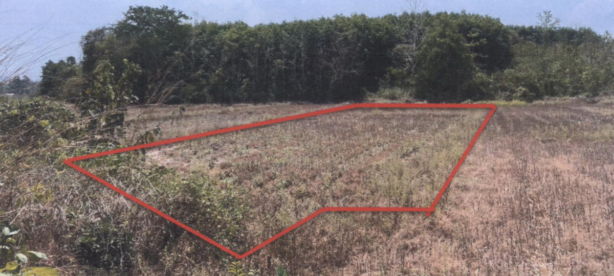 Residential land/lot Phrae Wang Chin Wang Chin 133380