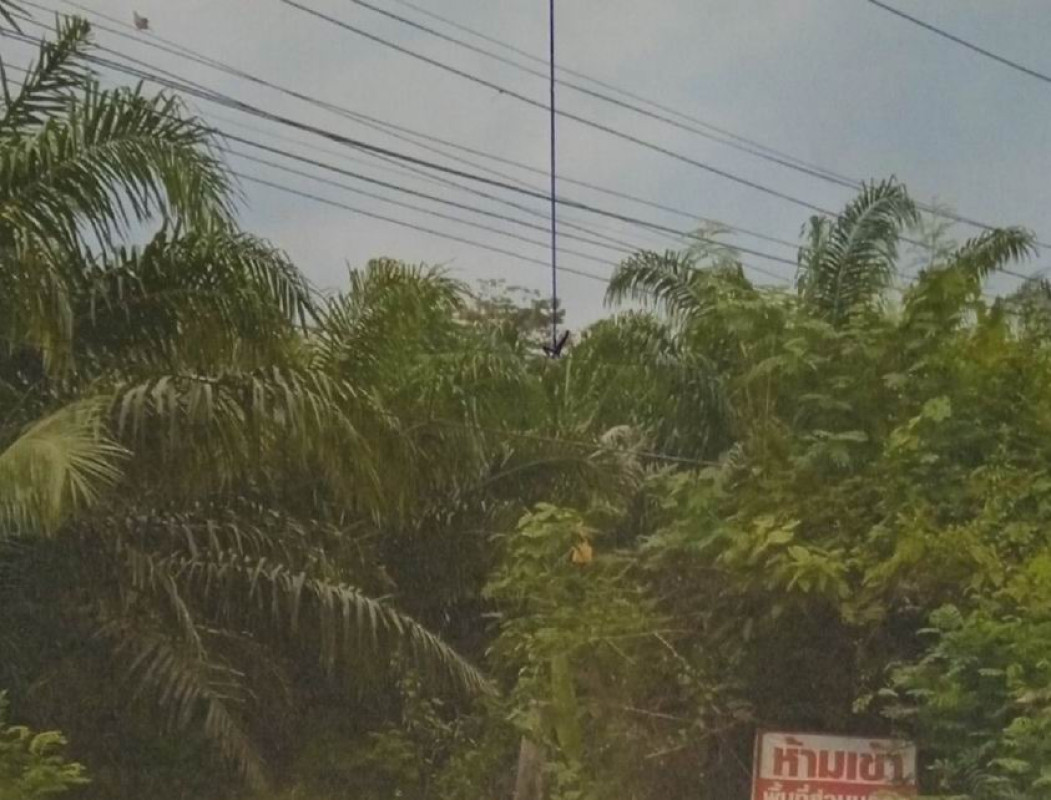 ที่ดินเปล่า นครศรีธรรมราช บางขัน บ้านลำนาว 193200
