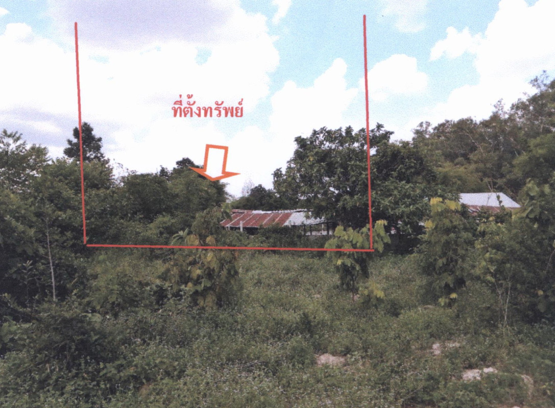 ที่ดินเปล่า อุดรธานี กุมภวาปี พันดอน 167440