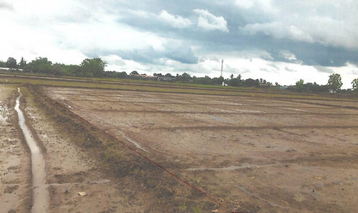 Residential land/lot Sukhothai Si Samrong Ban Na 92820