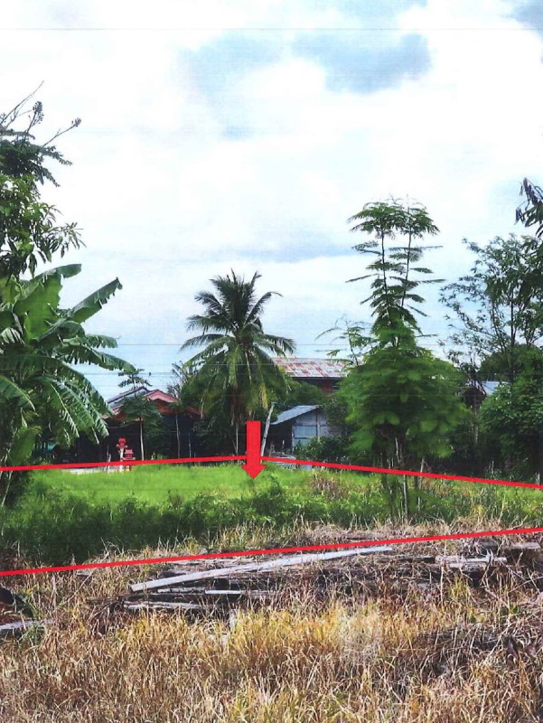 ที่ดินเปล่า สุโขทัย บ้านด่านลานหอย ตลิ่งชัน 25818