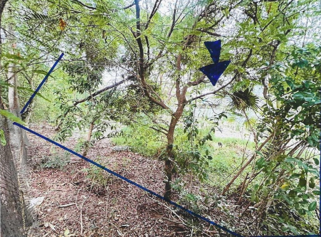 Residential land/lot Sukhothai Kong Krailat Dong Dueai 34125