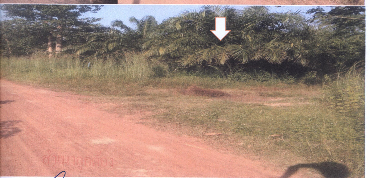 Residential land/lot Udon Thani Ban Phue Ban Kho 995579