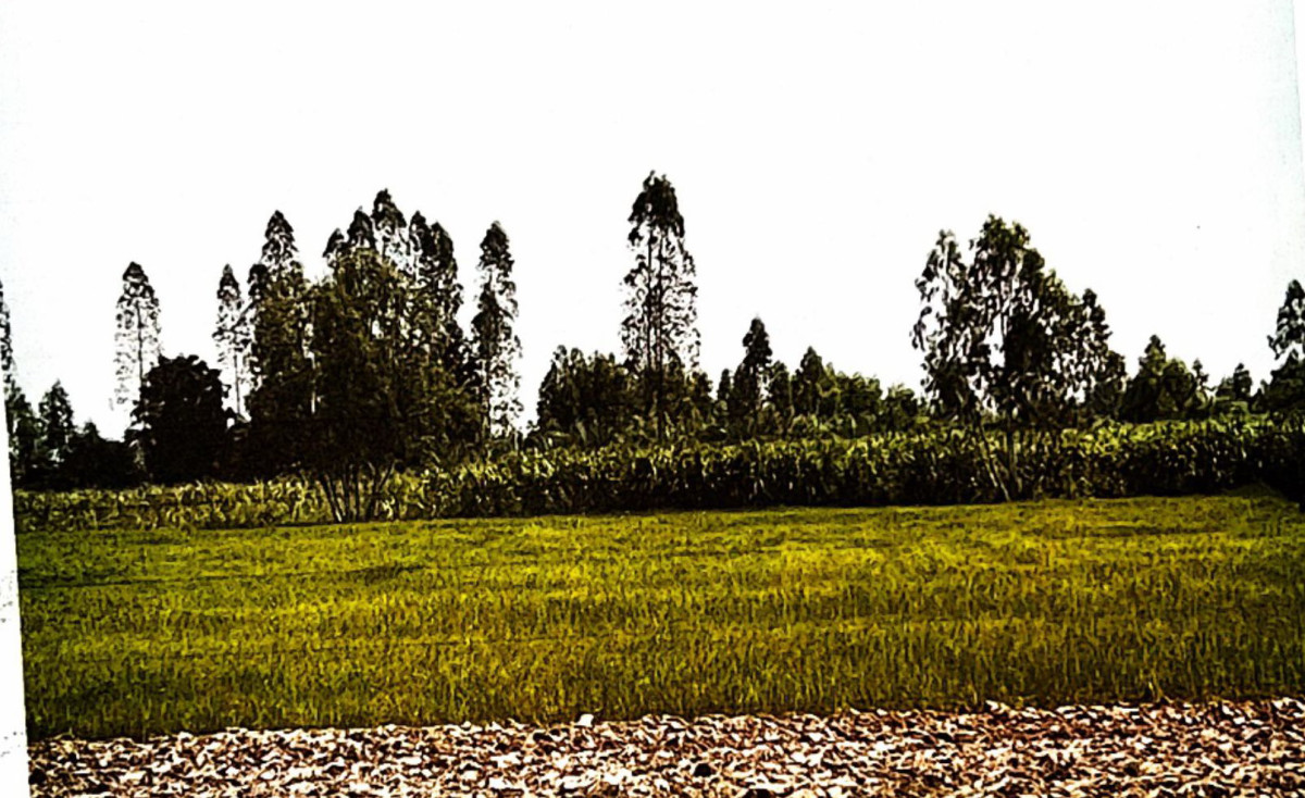ที่ดินเปล่า มหาสารคาม เมืองมหาสารคาม ท่าสองคอน 691000