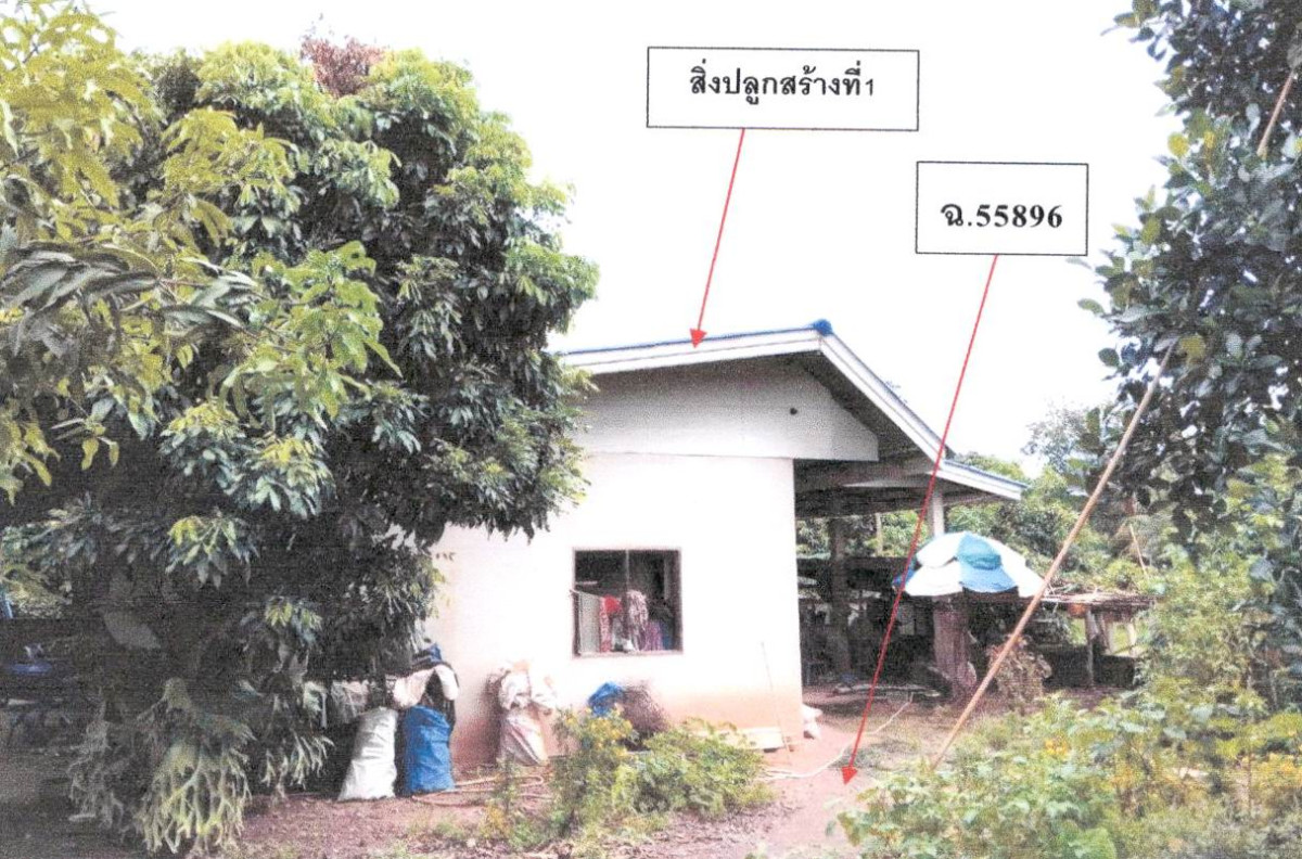 บ้านเดี่ยว พะเยา เชียงคำ เชียงบาน 337565