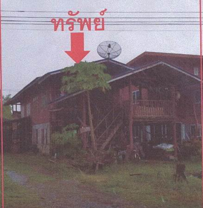 บ้านเดี่ยว สุโขทัย ศรีสำโรง ราวต้นจันทร์ 0