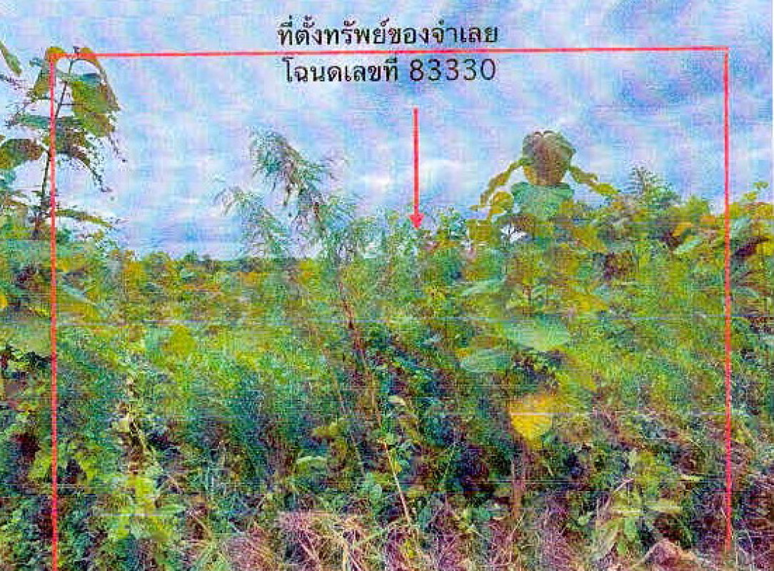 ที่ดินเปล่า เลย เมืองเลย นาอาน 1520000