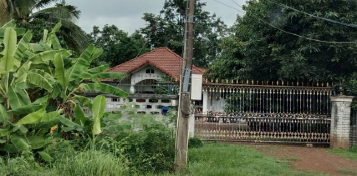 Single house Udon Thani Nong Han Nong Phai 1502547