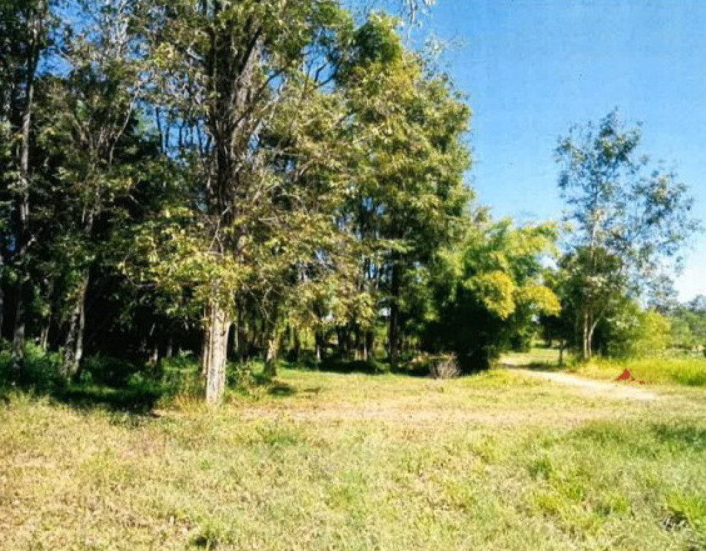 Residential land/lot Maha Sarakham Na Chueak Na Chueak 200652