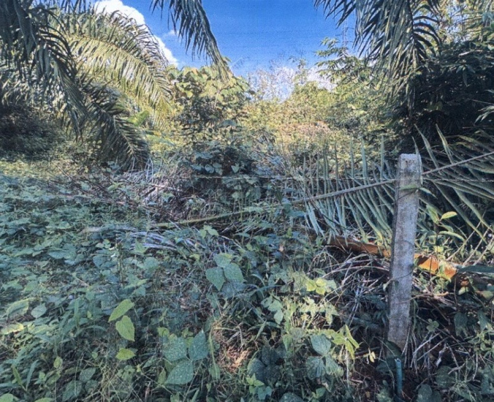 ที่ดินเปล่า พังงา ตะกั่วทุ่ง ท่าอยู่ 554000