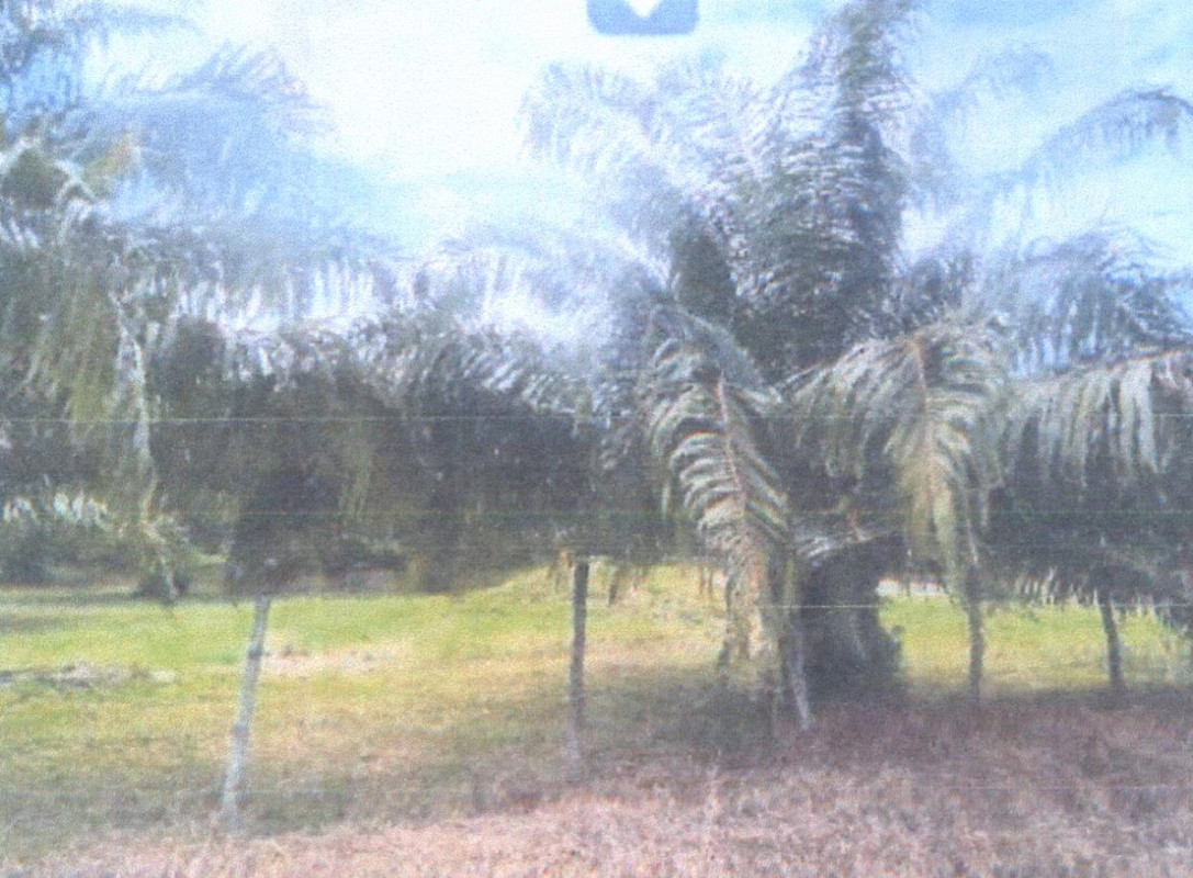 Residential land/lot Phangnga Thai Mueang Thai Mueang 7069800
